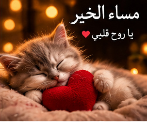 صورة مساء الخير رومانسية