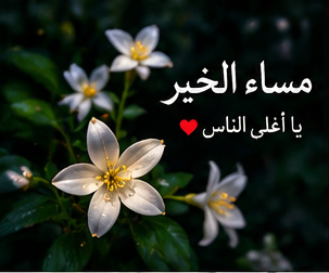 أجمل صور مساء الحب