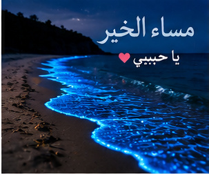 صور مسائية رومانسية للحبيب
