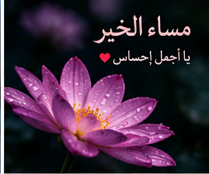 صور مساء جميلة للحبيب