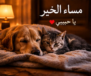 صور مسائية جميلة لمن تحب