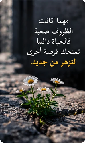 زهور تنمو بين الصخور رغم الظروف الصعبة